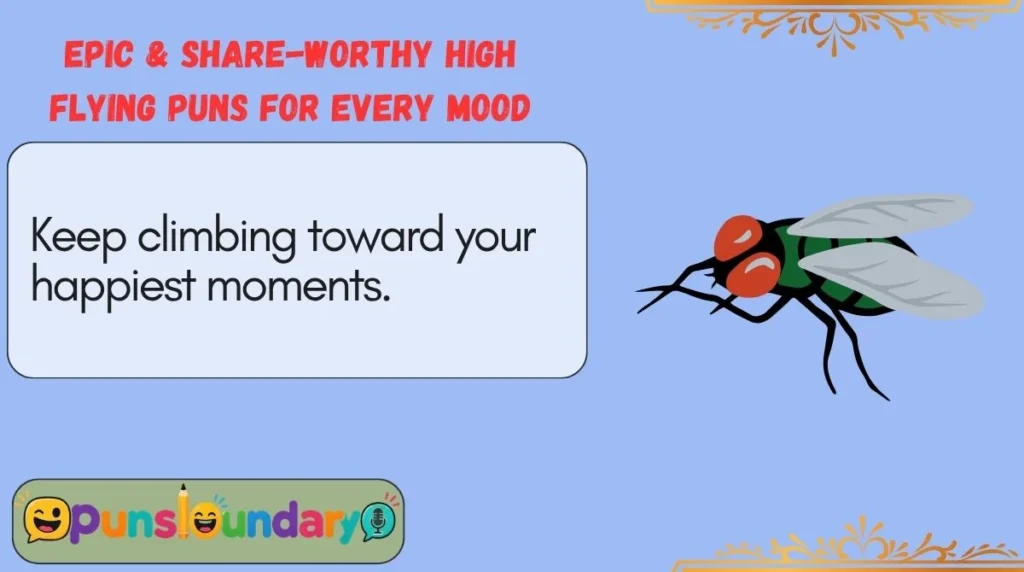 Epic & Share-Worthy High Flying Puns for Every Mood