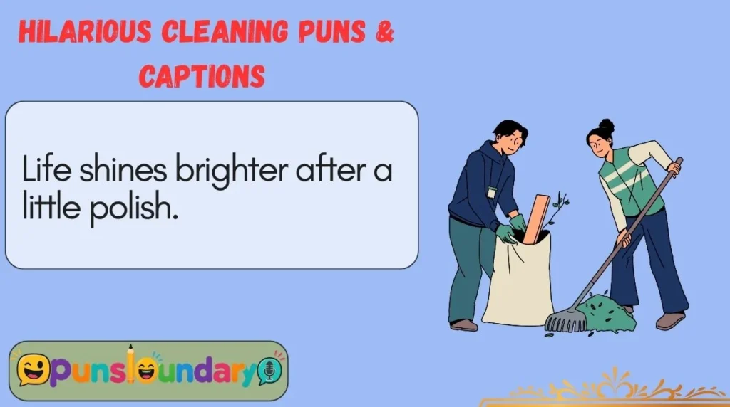 Hilarious Cleaning Puns & Captions