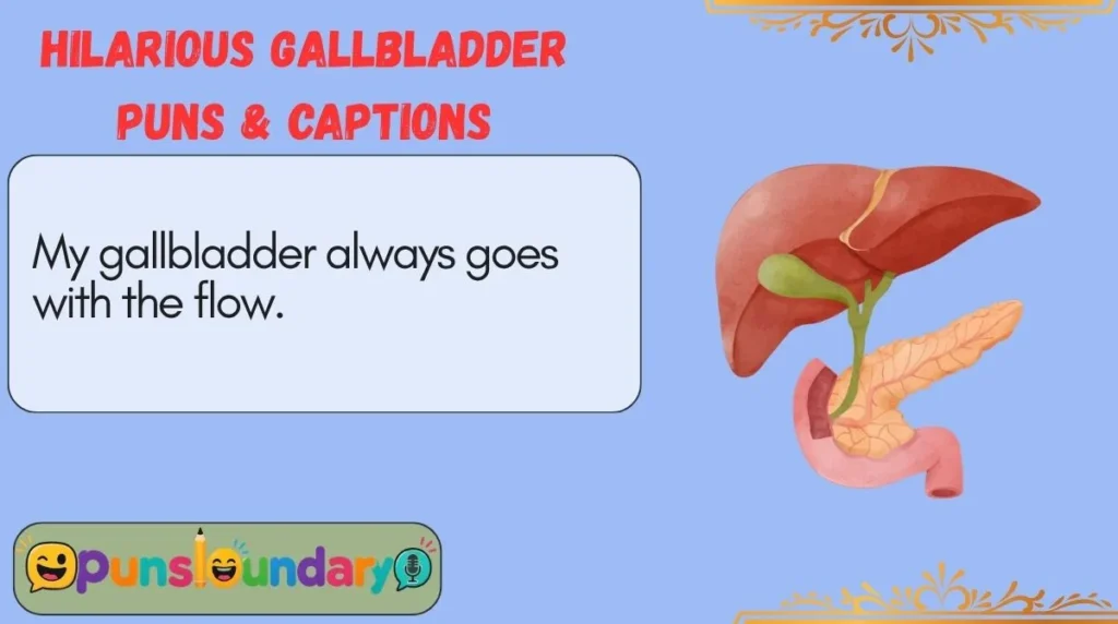 Hilarious Gallbladder Puns & Captions
