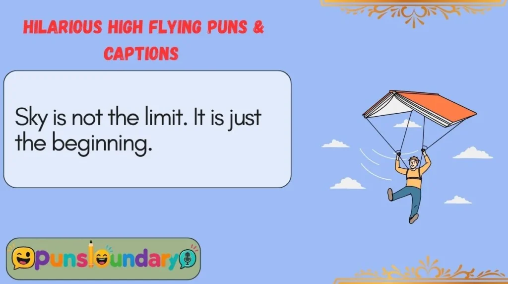 Hilarious High Flying Puns & Captions