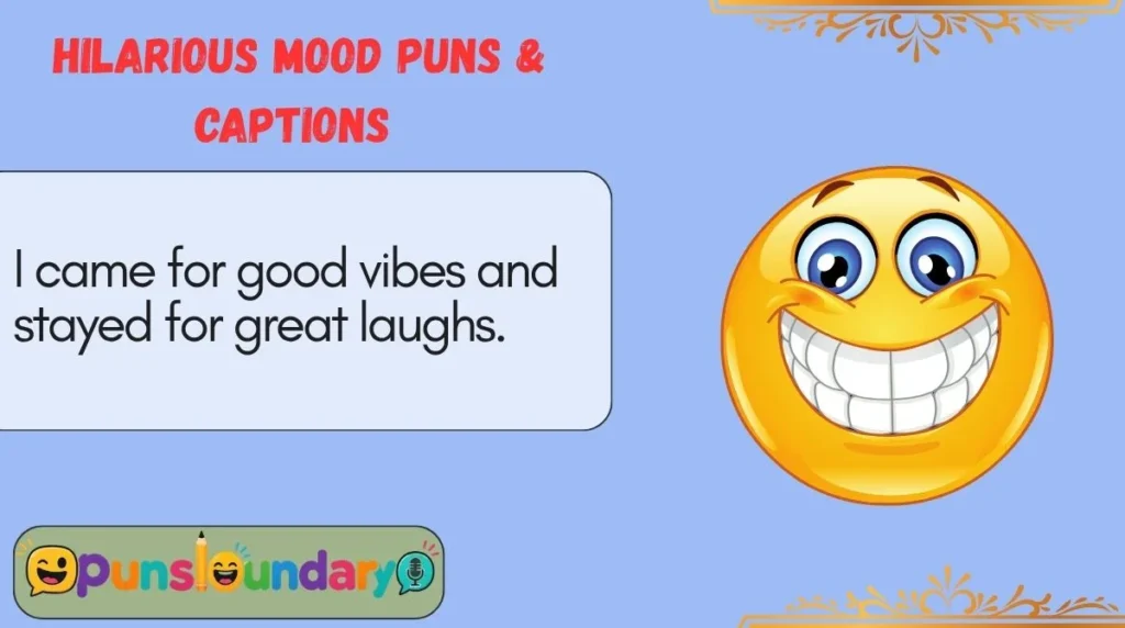Hilarious Mood Puns & Captions