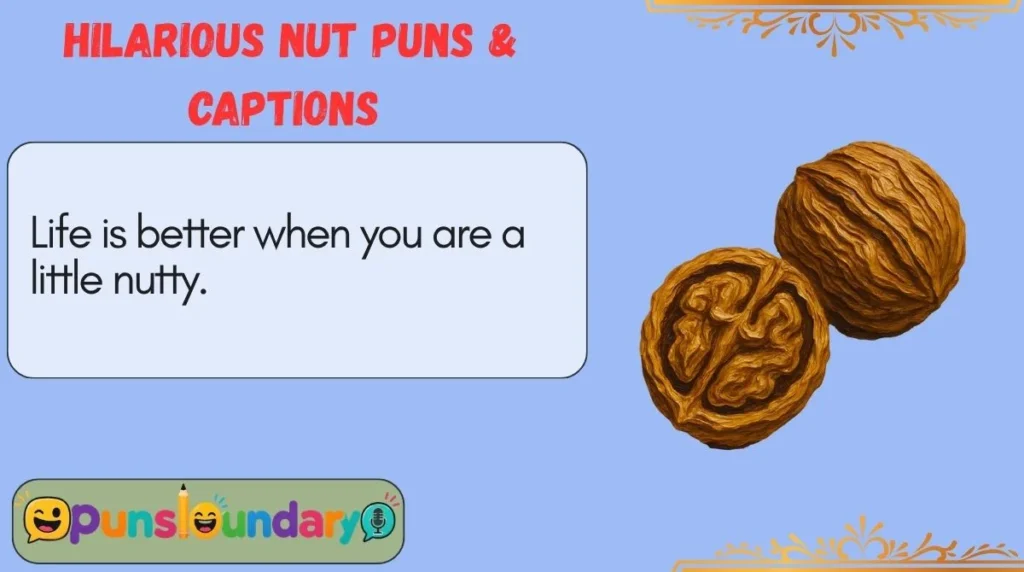 Hilarious Nut Puns & Captions