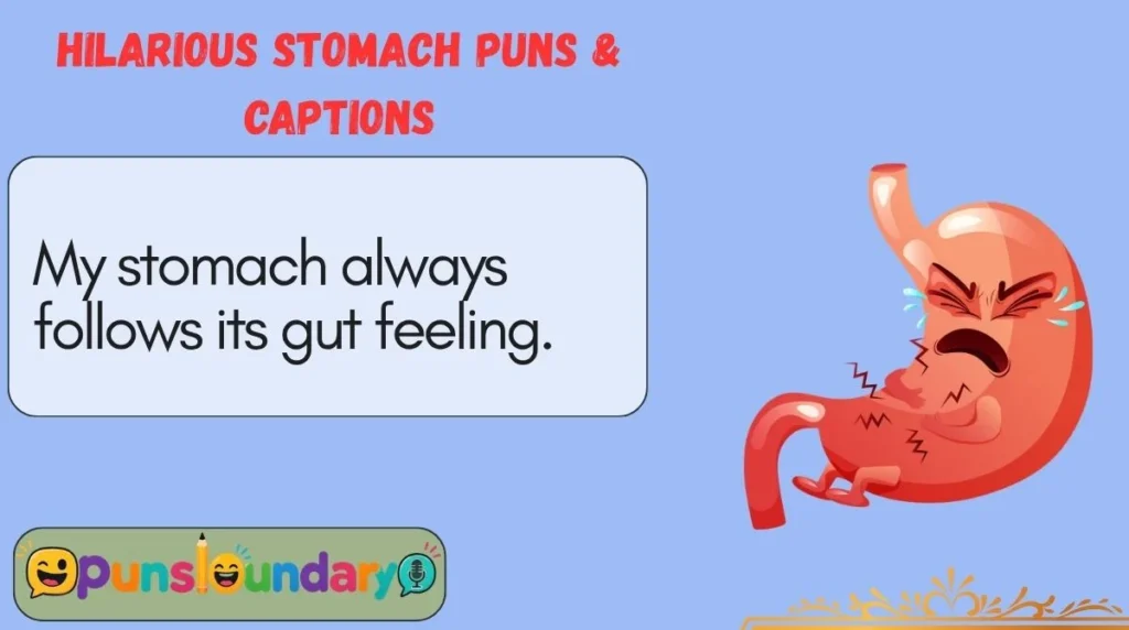 Hilarious Stomach Puns & Captions