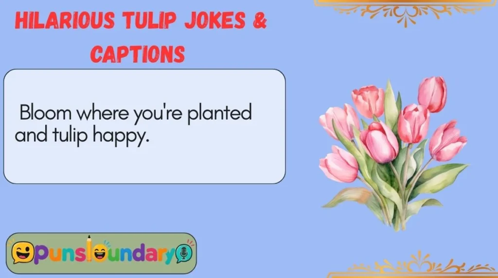 Hilarious Tulip Jokes & Captions