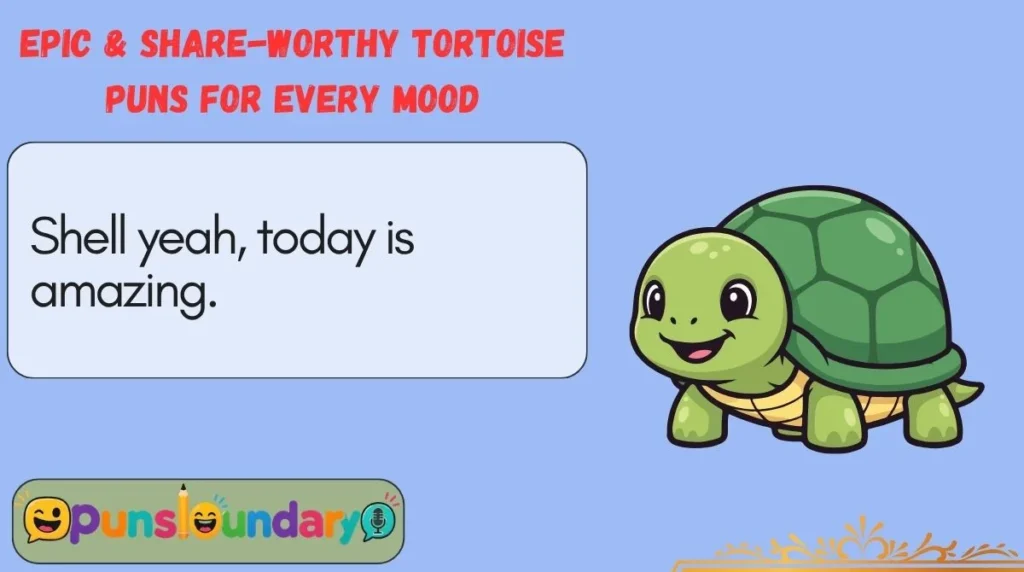 Epic & Share-Worthy Tortoise Puns for Every Mood
