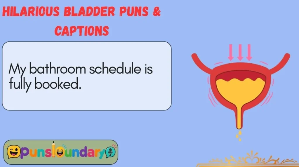 Hilarious Bladder Puns & Captions