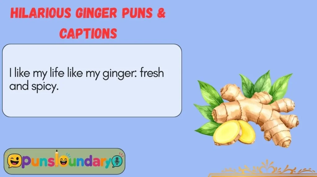 Hilarious Ginger Puns & Captions