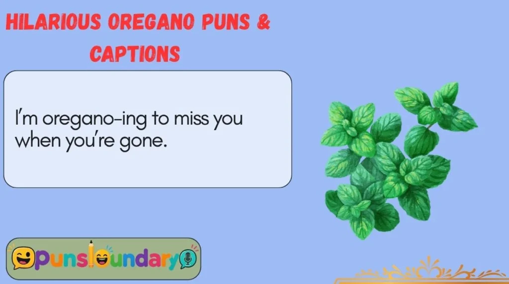 Hilarious Oregano Puns & Captions