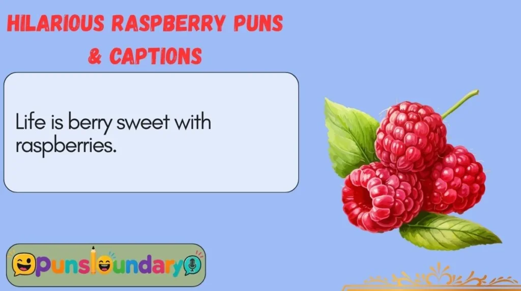 Hilarious Raspberry Puns & Captions