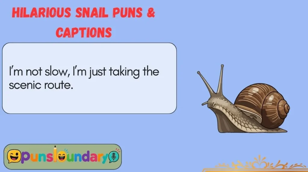 Hilarious Snail Puns & Captions