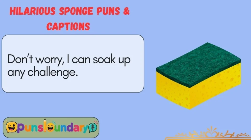 Hilarious Sponge Puns & Captions