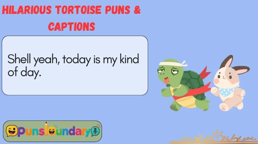 Hilarious Tortoise Puns & Captions