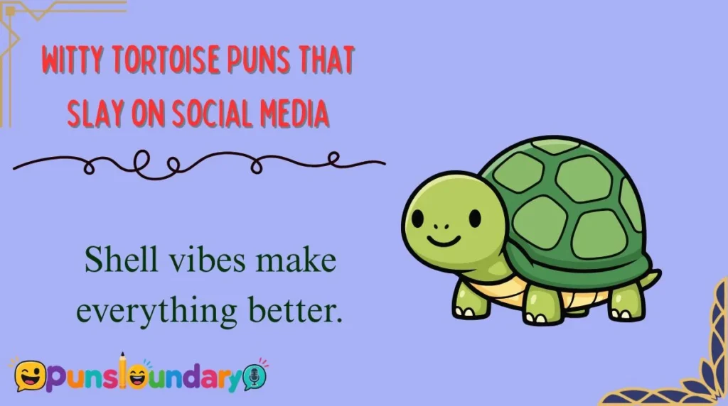Witty Tortoise Puns That Slay on Social Media