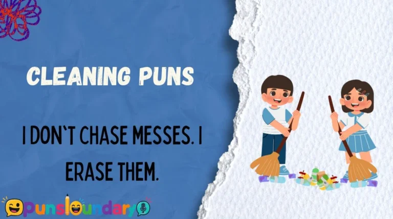 Cleaning Puns
