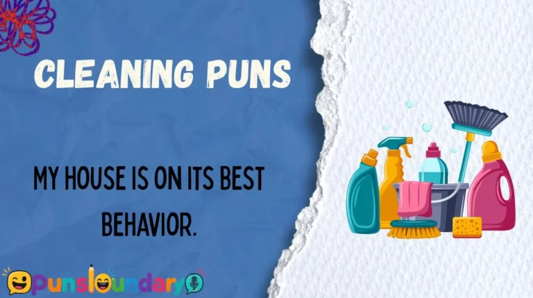 Cleaning Puns
