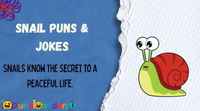 Snail Puns & Jokes
