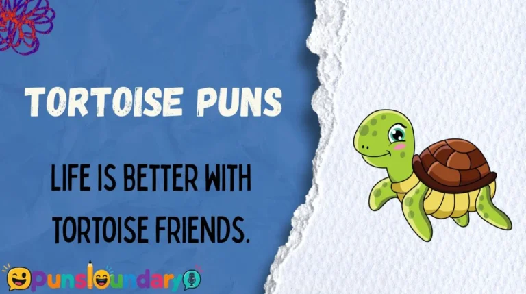 Tortoise Puns